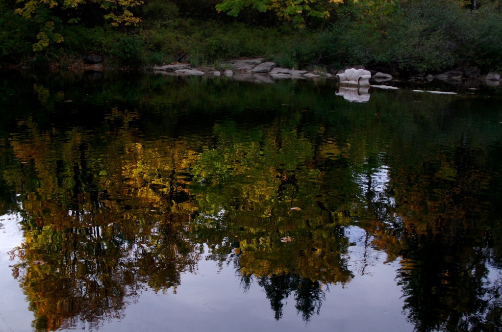 DoughtCalm Videos on Evolving Front Seat to Nature